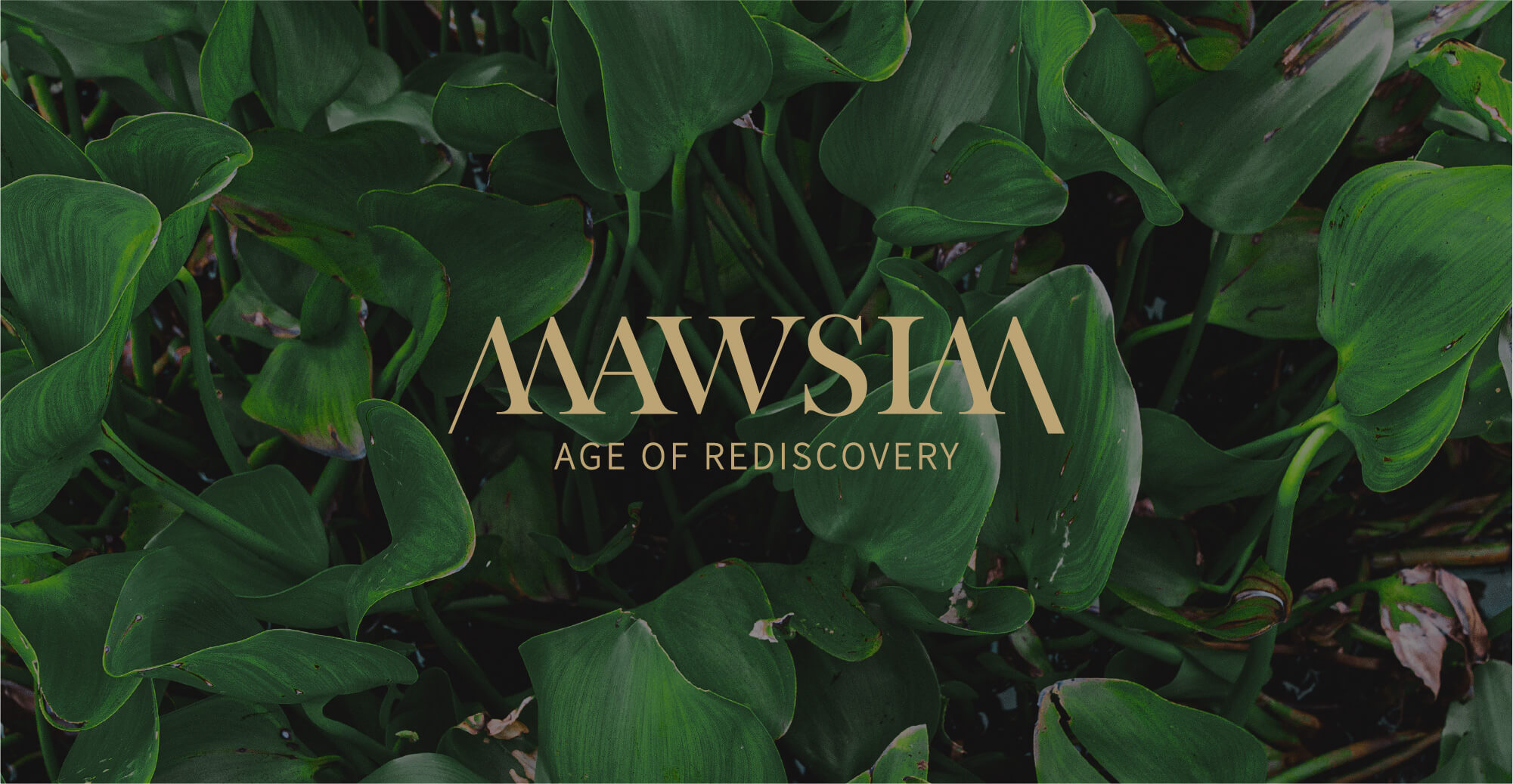 MAWSIM|AGE OF REDISCOVERY